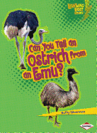 Can You Tell an Ostrich from an Emu?