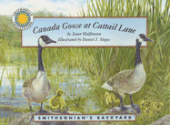 Canada Goose at Cattail Lane