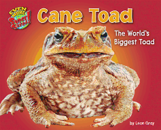 Cane Toad: The World's Biggest Toad