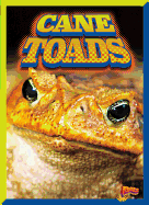 Cane Toads