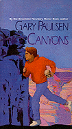 Canyons
