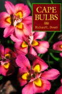Cape Bulbs