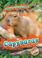 Capybaras