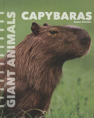 Capybaras - Schafer, Susan