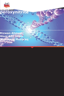 Caract?risation de l'ADN glyqu? modifi? par le peroxynitrite