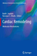 Cardiac Remodeling: Molecular Mechanisms