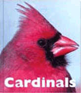 Cardinals - Merrick, Patrick