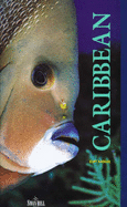 Caribbean