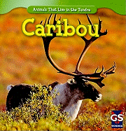 Caribou - Patrick, Roman