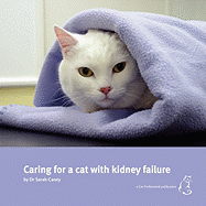 Caring for a Cat with Kidney Failure
