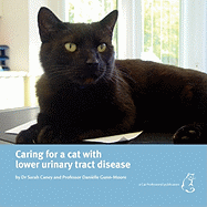 Caring for a Cat with Lower Urinary Tract Disease