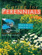 Caring for Perennials: What to Do and When to Do It