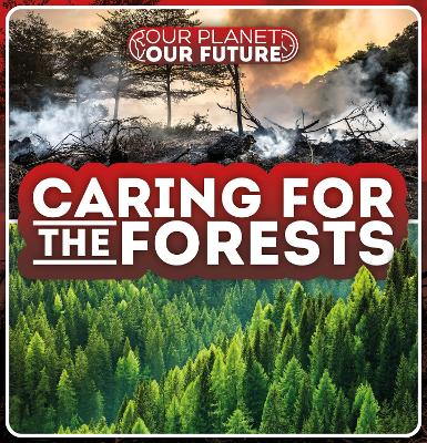 Caring for the Forests - Limbada, Azra
