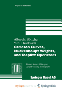 Carleson Curves, Muckenhoupt Weights, and Toeplitz Operators