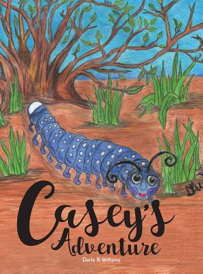 Casey's Adventure - Williams, Darla R