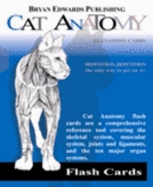 Cat Anatomy Flash Cards
