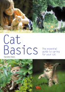 Cat Basics: The Essential Guide to Caring for Your Cat