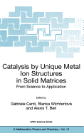 Catalysis by Unique Metal Ion Structures in Solid Matrices