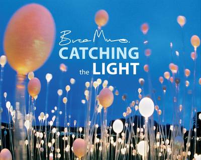 Catching the Light - Munro, Bruce