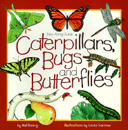 Caterpillars, Bugs and Butterflies