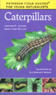 Caterpillars