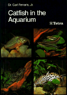 Catfish in the Aquarium