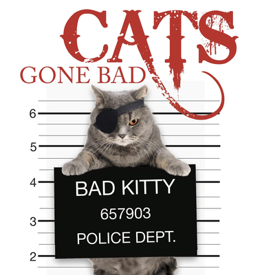 Cats Gone Bad - Scratching, Kat