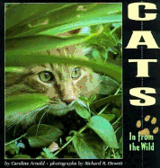 Cats in from the Wild