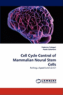 Cell Cycle Control of Mammalian Neural Stem Cells