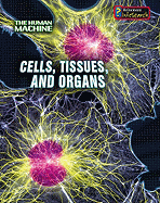 Cells, Tissues, and Organs