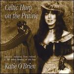 Celtic Harp on the Prairie