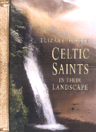 Celtic Saints In Their Landscape