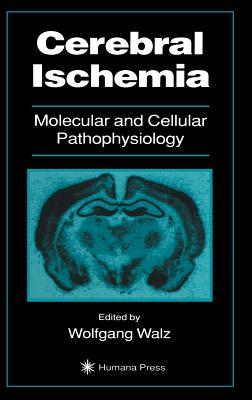 Cerebral Ischemia - Walz, Wolfgang (Editor)
