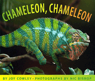 Chameleon, Chameleon