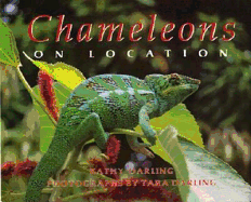 Chameleons: On Location