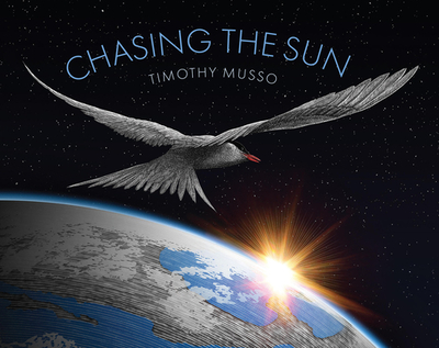 Chasing the Sun - 
