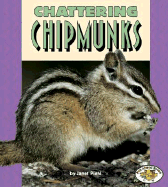 Chattering Chipmunks