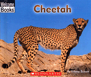 Cheetah