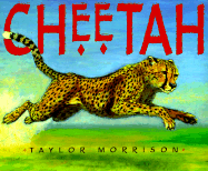 Cheetah - 