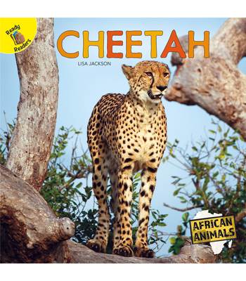Cheetah - Jackson, Lisa