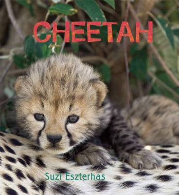 Cheetah - Eszterhas, Suzi (Photographer)