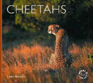 Cheetahs - Hunter, Luke