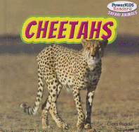 Cheetahs