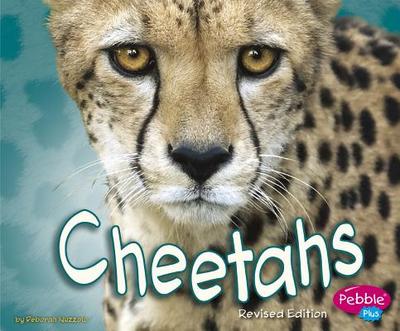 Cheetahs - Nuzzolo, Deborah