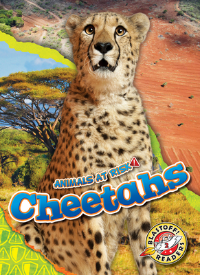Cheetahs - Fleming, Dana (Narrator), and Grack, Rachel