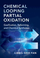 Chemical Looping Partial Oxidation: Gasification, Reforming, and Chemical Syntheses