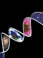 Chemistry: The Science in Context