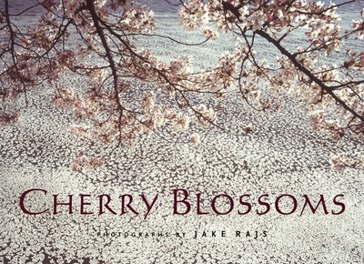 Cherry Blossoms - Rajs, Jake (Photographer)
