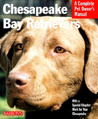 Chesapeake Bay Retrievers - Rice, DVM Dan