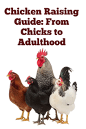 Chicken Raising Guide: From Chicks to Adulthood